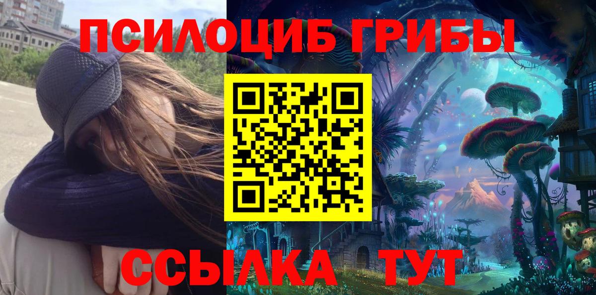 Альфа ПВП Кызыл